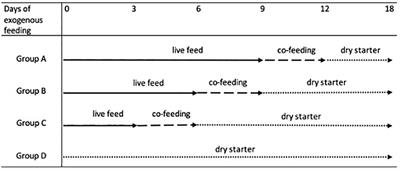Effects of weaning time, light regime, and stocking density on growth, condition, survival, and cannibalism rates in northern pike (Esox lucius L.) larvae and early juveniles under intensive culture